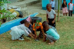 Primary school teacher testimony