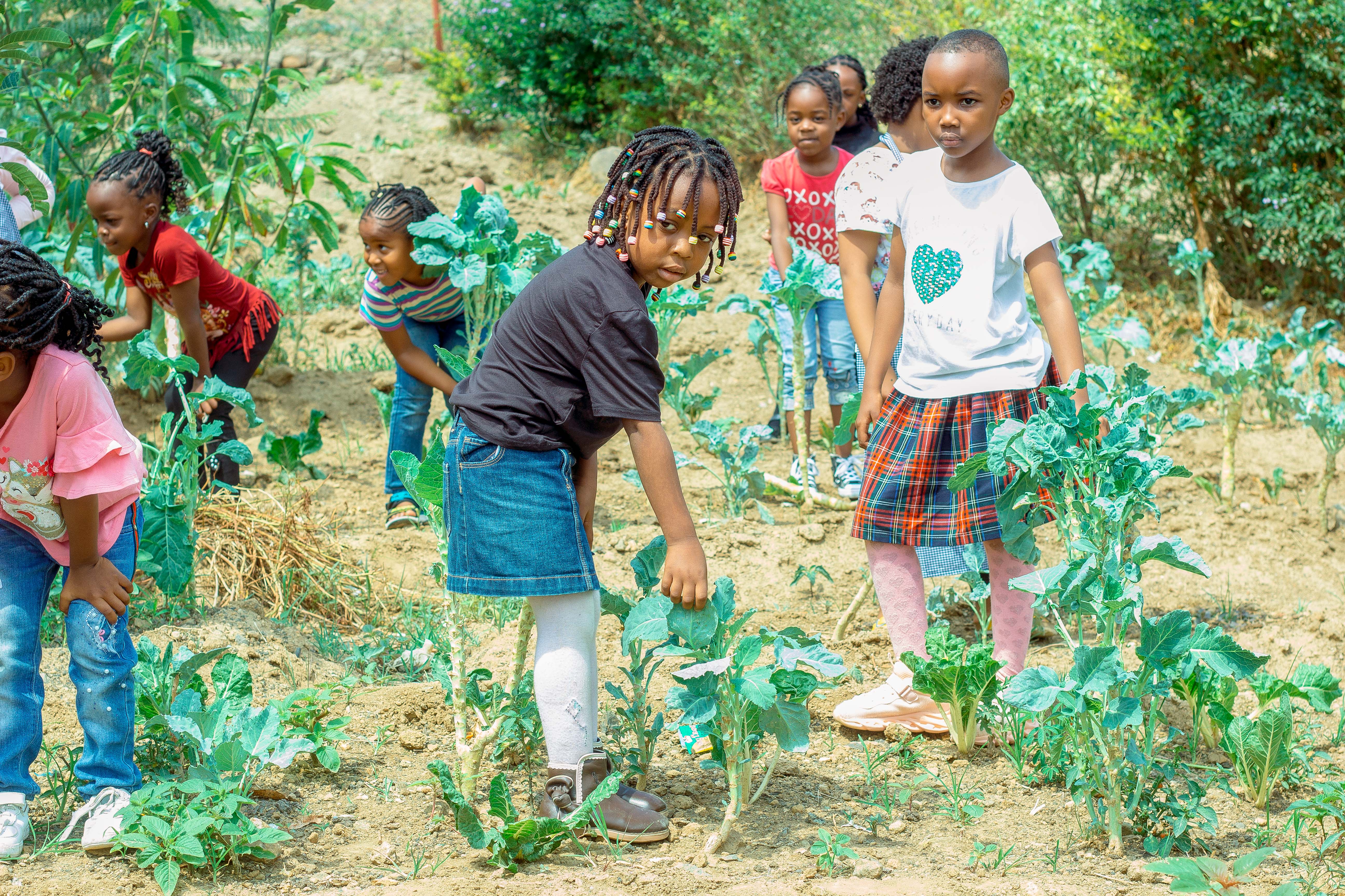 WeCare Foundation children Tanzania – every child deserves a strong start